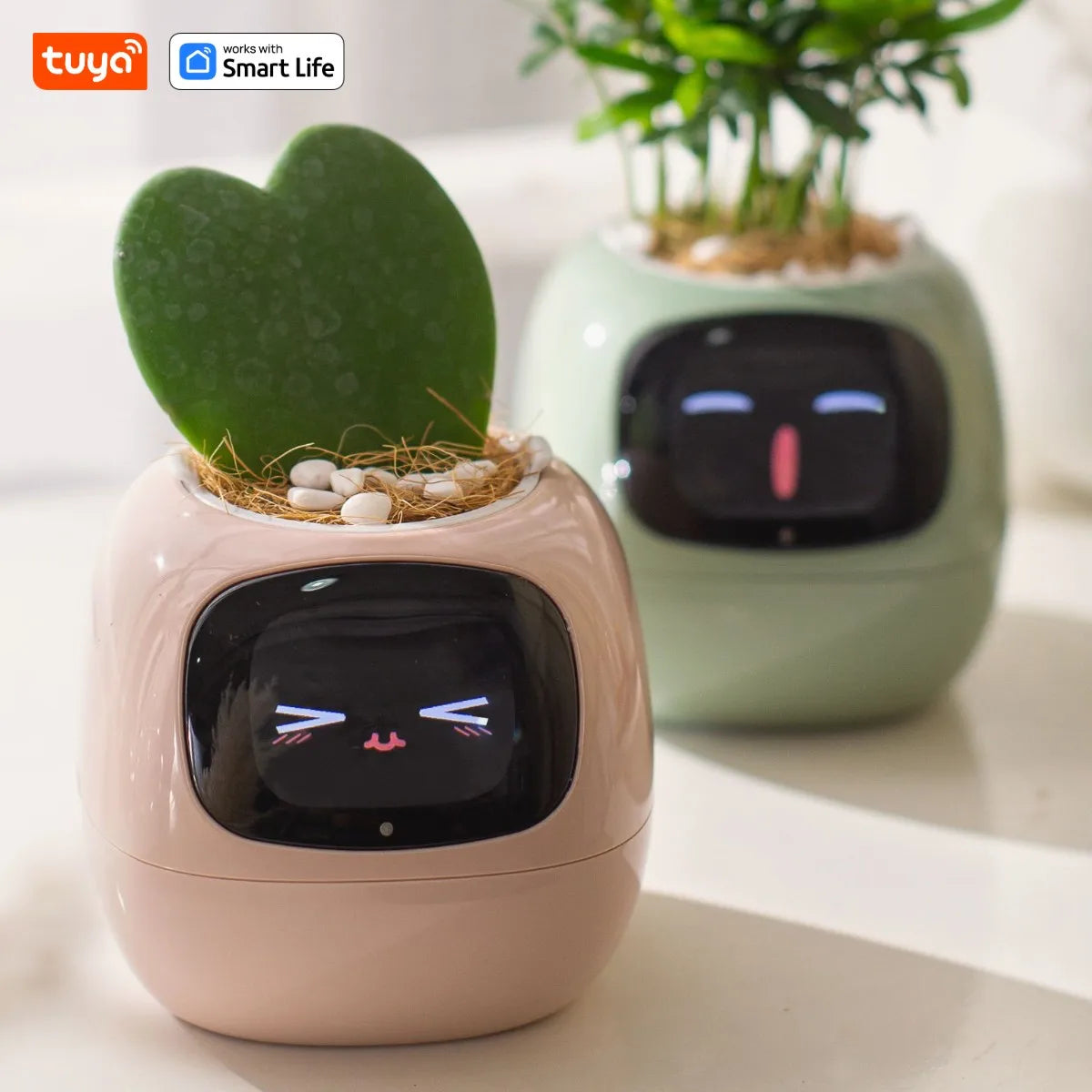 Pot de Fleurs Intelligent de la marque Tuya Smart Life