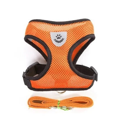 Harness for cat or small dog