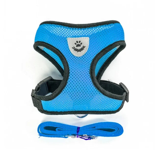 Harness for cat or small dog