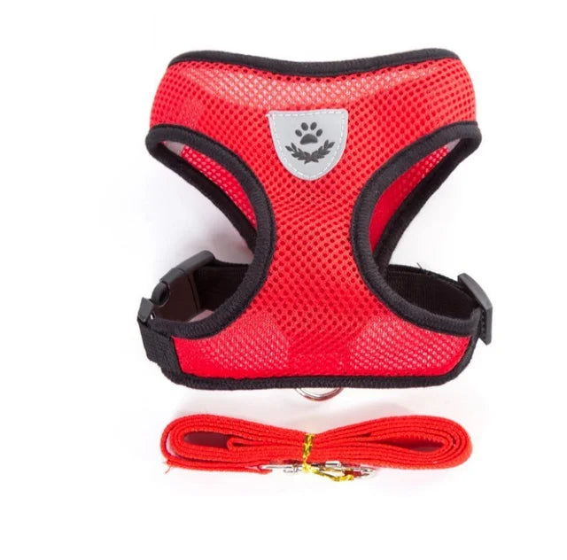 Harness for cat or small dog