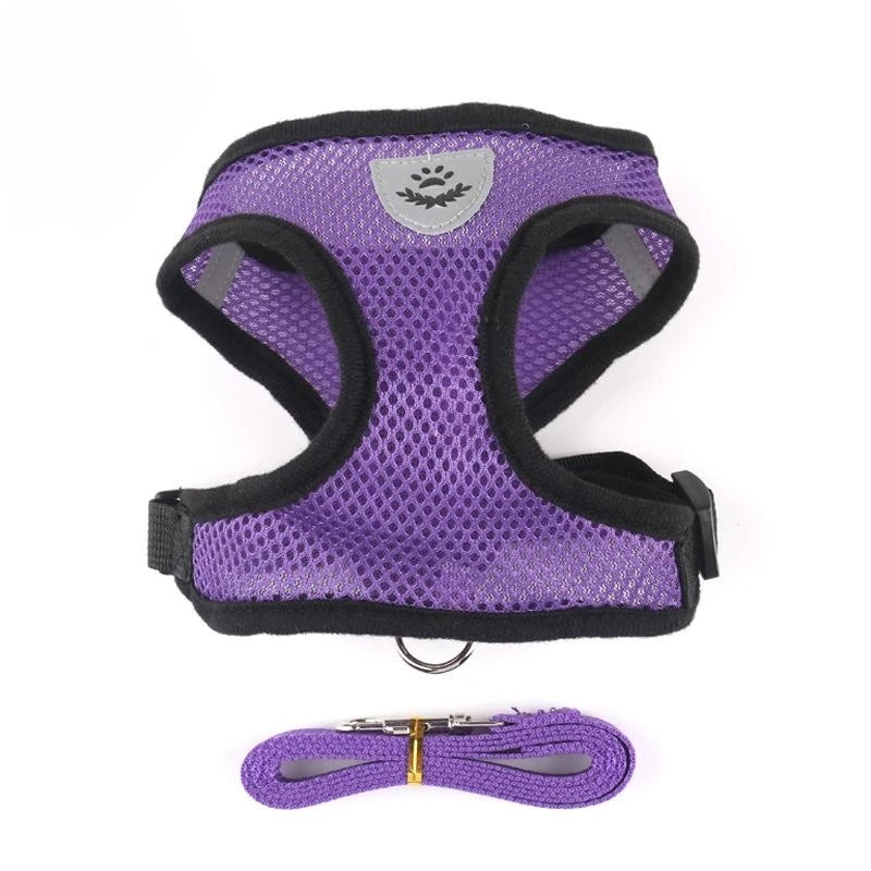 Harness for cat or small dog