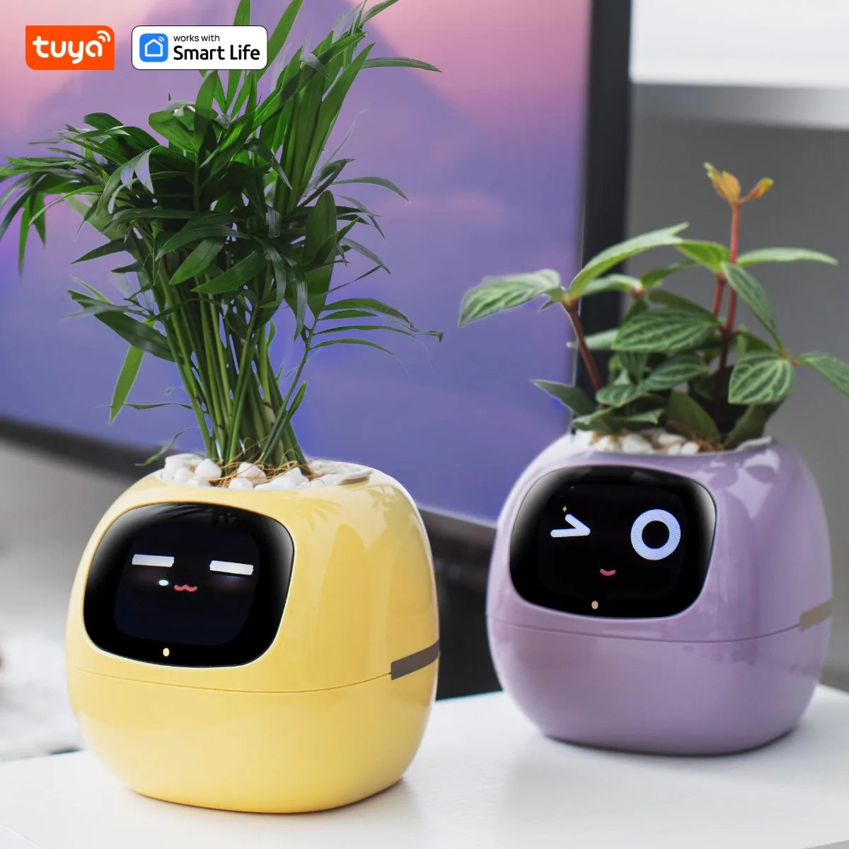 Pot de Fleurs Intelligent de la marque Tuya Smart Life