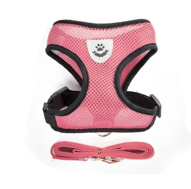 Harness for cat or small dog