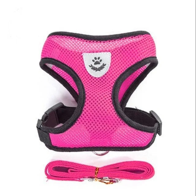 Harness for cat or small dog