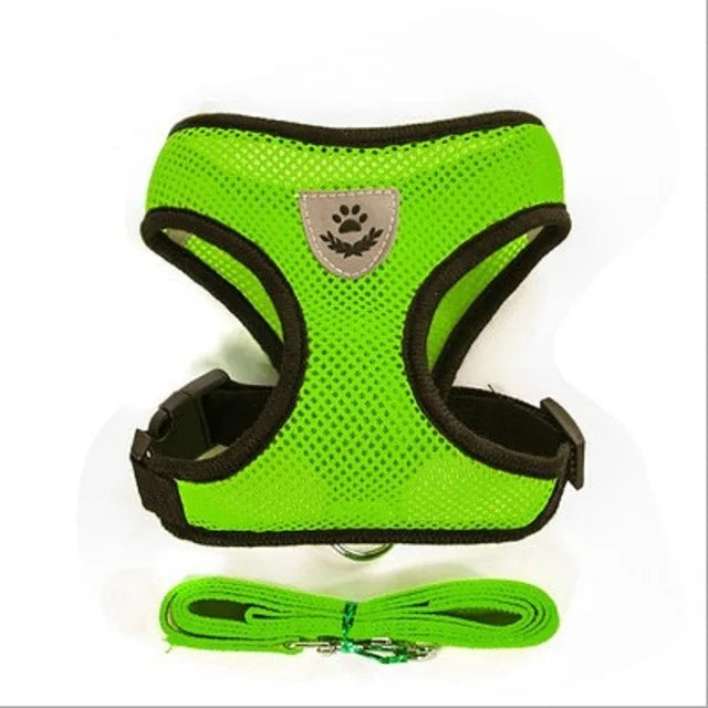 Harness for cat or small dog