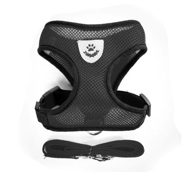 Harness for cat or small dog