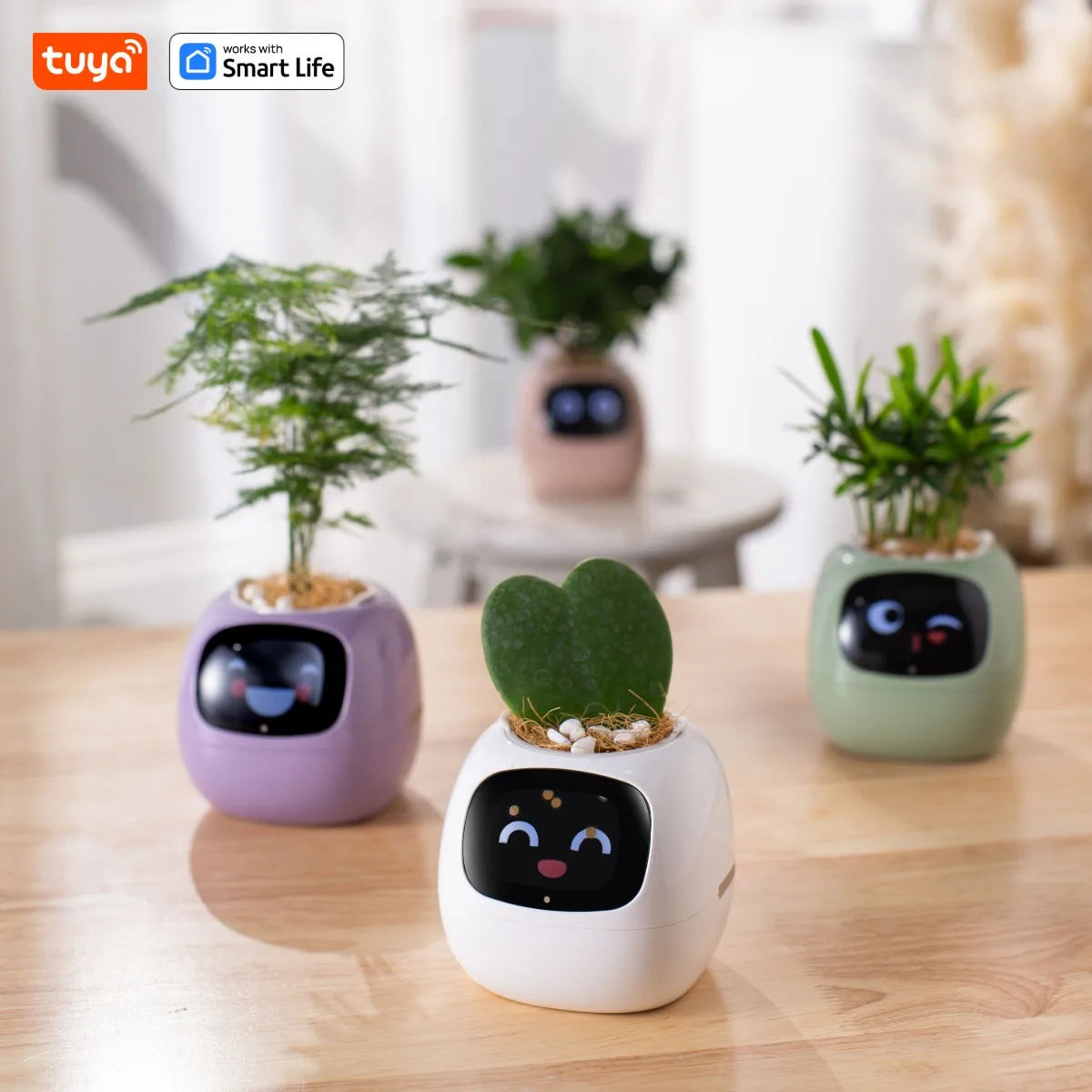 Pot de Fleurs Intelligent de la marque Tuya Smart Life