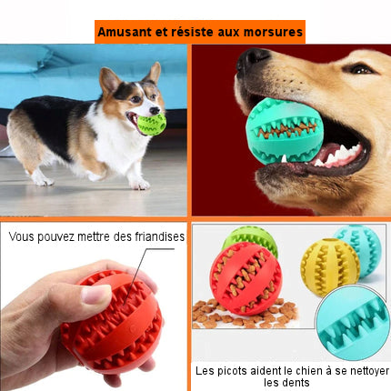 Rubber ball for dogs and cats