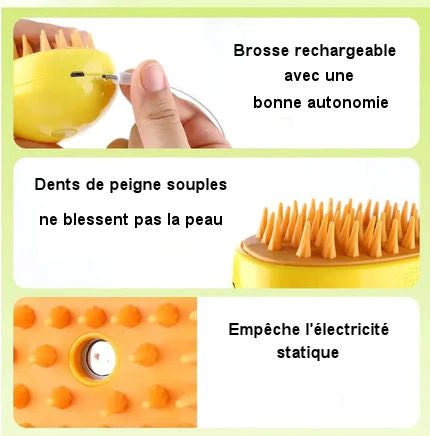 Pet Steam Brush