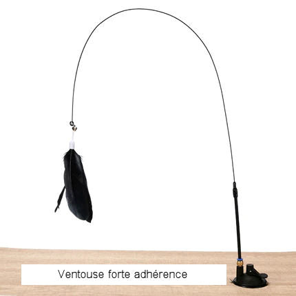 Interactive feather duster toy for cats