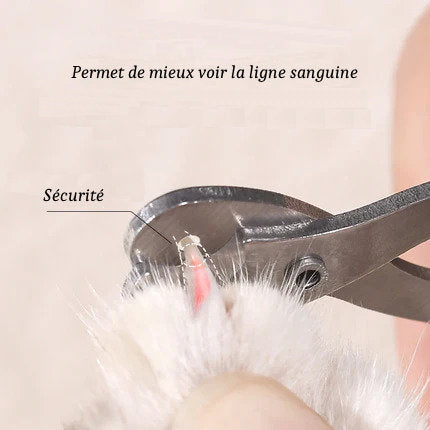 Coupe-Ongles pour Chats et Petits Chiens