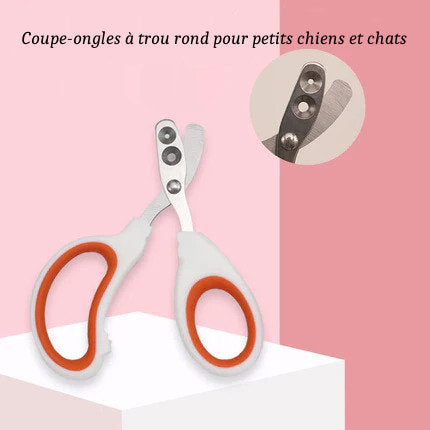Coupe-Ongles pour Chats et Petits Chiens