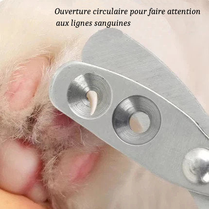 Coupe-Ongles pour Chats et Petits Chiens