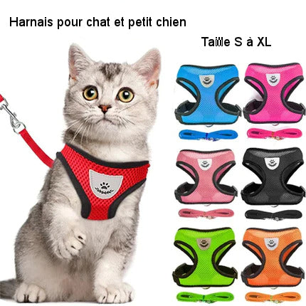 Harness for cat or small dog