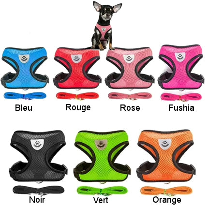 Harness for cat or small dog