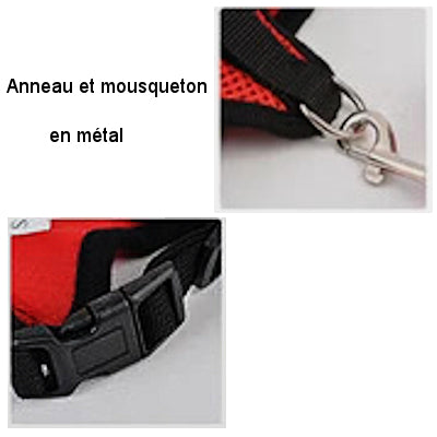 Harness for cat or small dog