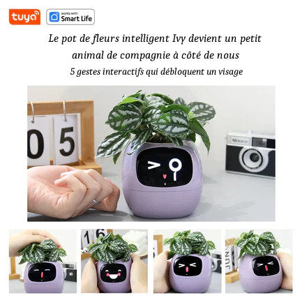 Pot de Fleurs Intelligent de la marque Tuya Smart Life