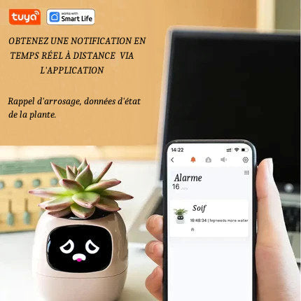 Pot de Fleurs Intelligent de la marque Tuya Smart Life