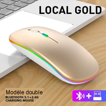 Dual Mode Bluetooth Silent Wireless Mouse, Rechargeable