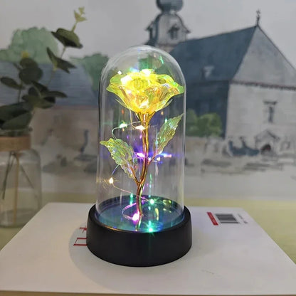 Rose Éternelle Lumineuse
