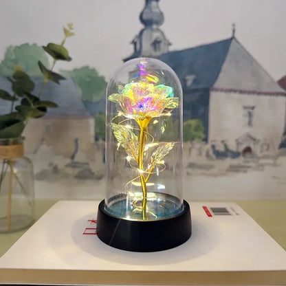 Rose Éternelle Lumineuse