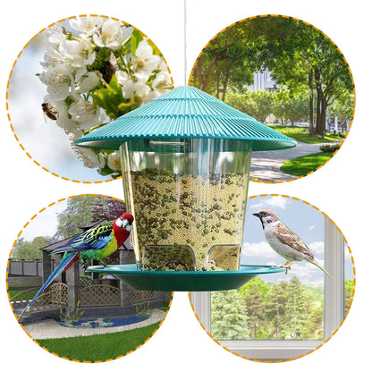 Bird feeder 