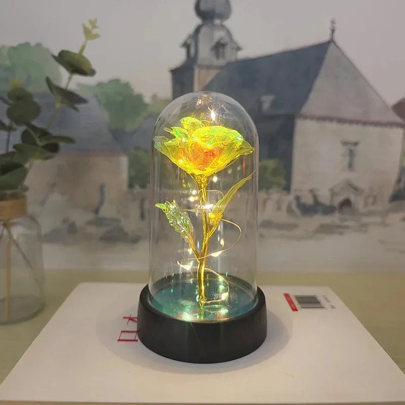 Rose Éternelle Lumineuse