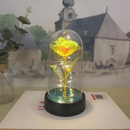 Rose Éternelle Lumineuse