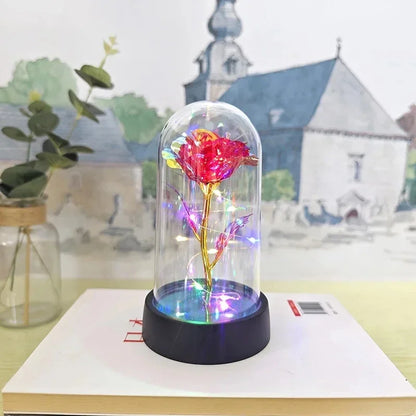 Rose Éternelle Lumineuse