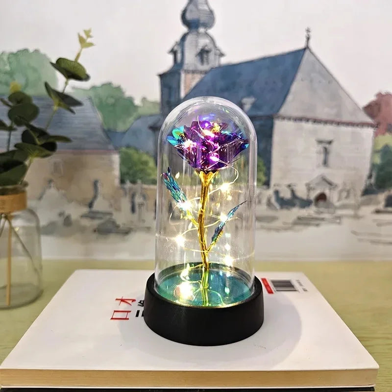 Rose Éternelle Lumineuse
