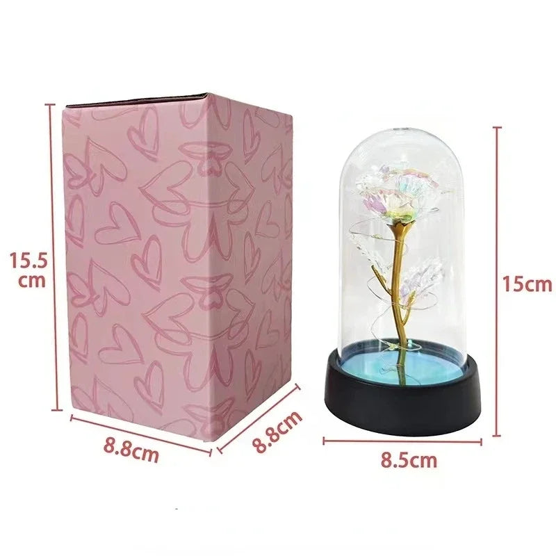 Rose Éternelle Lumineuse