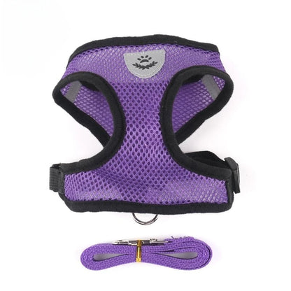 Harness for cat or small dog 