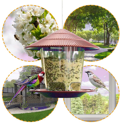 Bird feeder 