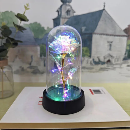 Rose Éternelle Lumineuse
