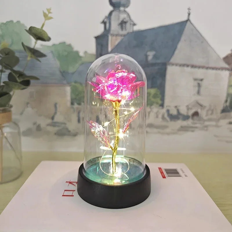 Rose Éternelle Lumineuse