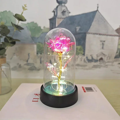 Rose Éternelle Lumineuse