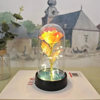 Rose Éternelle Lumineuse