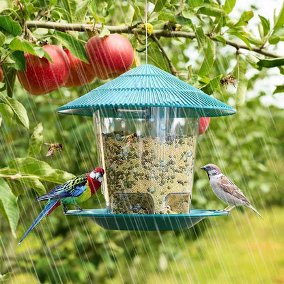Bird feeder 
