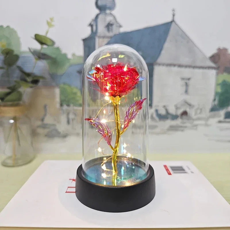 Rose Éternelle Lumineuse