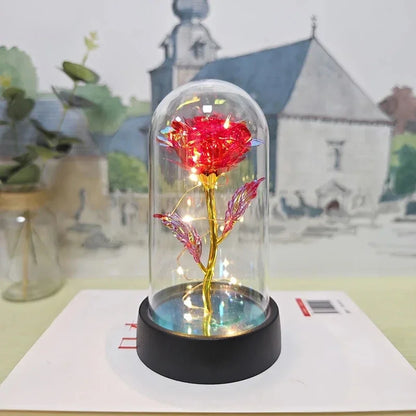 Rose Éternelle Lumineuse