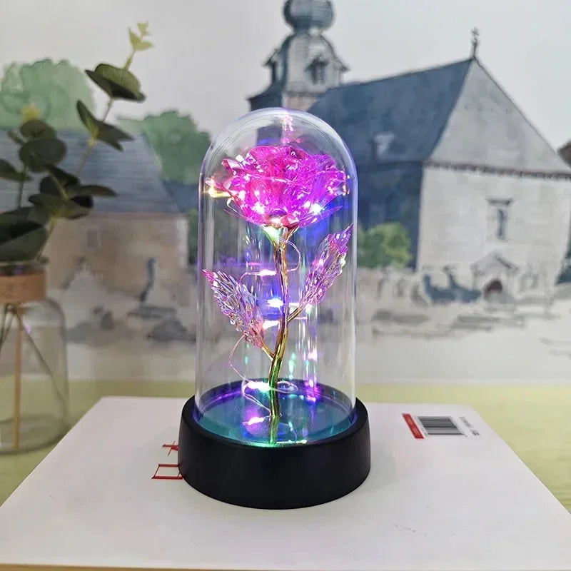 Rose Éternelle Lumineuse