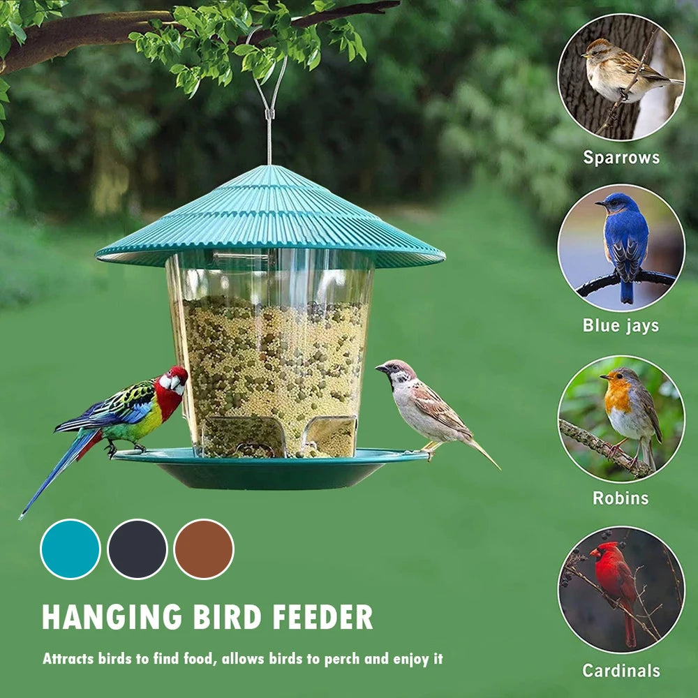 Bird feeder 