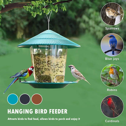 Bird feeder 