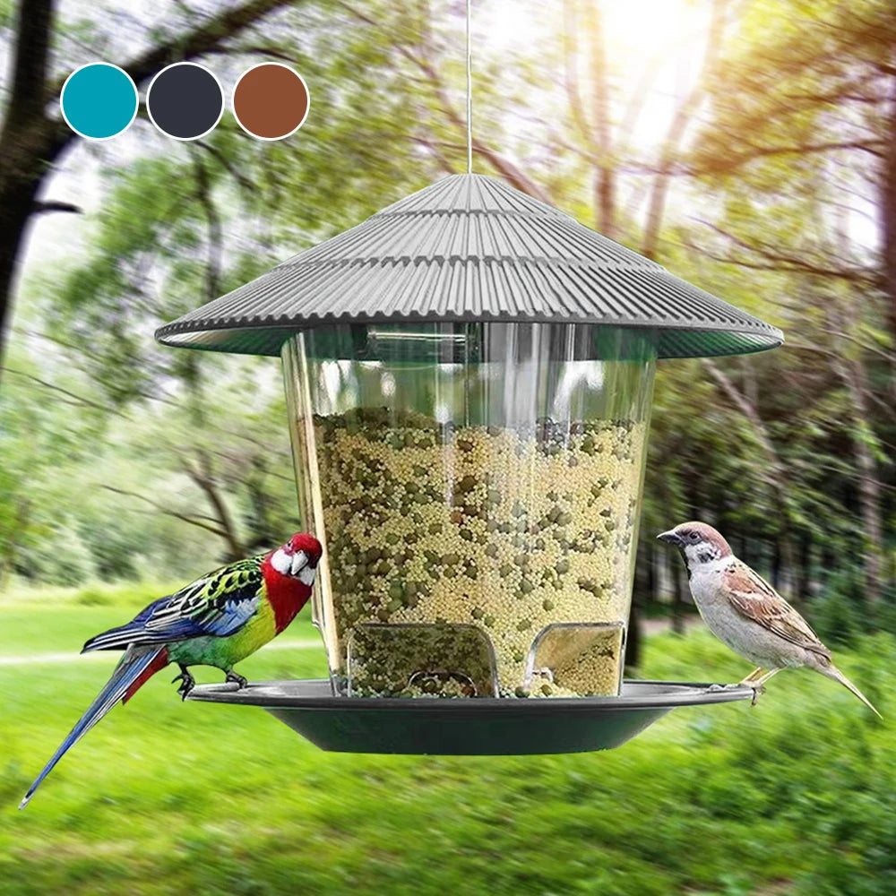 Bird feeder 