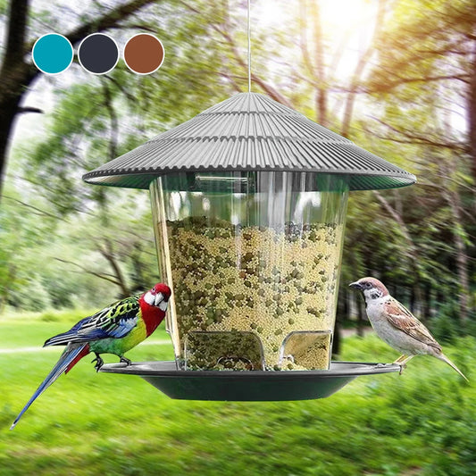 Bird feeder 