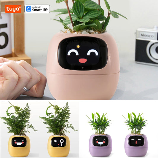 Smart flower pot from the Tuya Smart Life brand 
