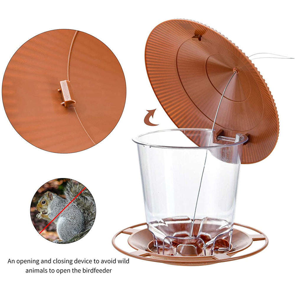 Bird feeder 