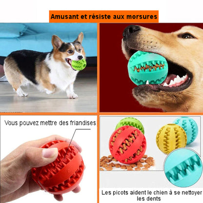 Rubber ball for dogs and cats