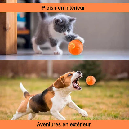 Interactive bouncing ball for dogs and cats 