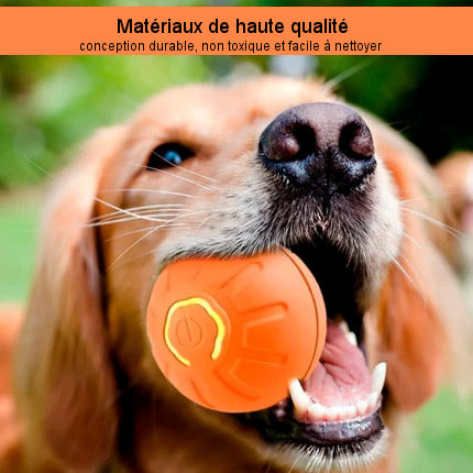 Interactive bouncing ball for dogs and cats 